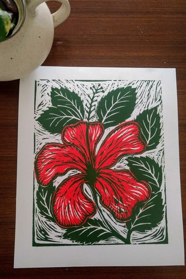 Hibiscus - Image 5